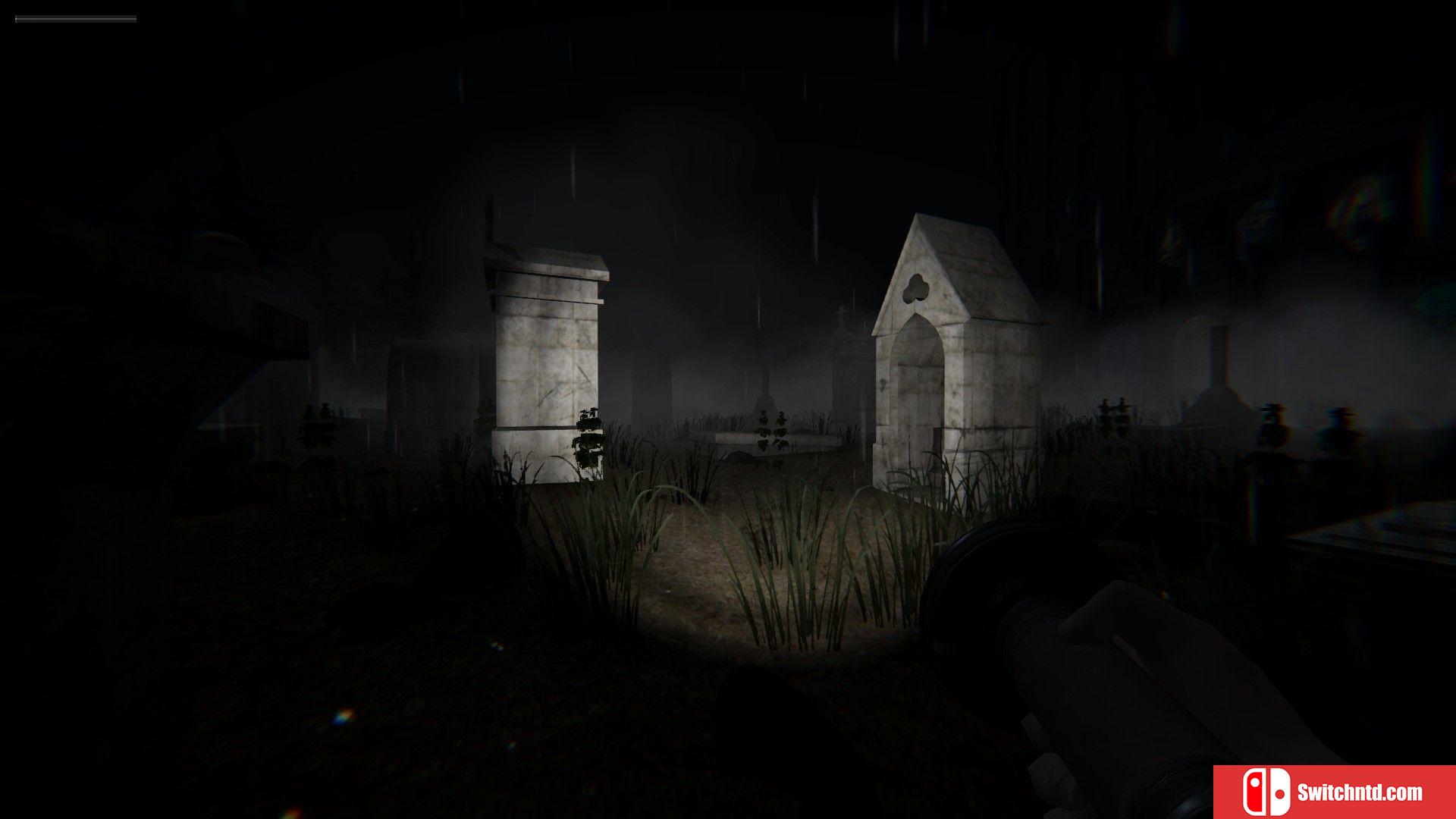 《血腥玛丽：遗忘的诅咒（Bloody Mary: Forgotten Curse）》PLAZA镜像版[EN]_4