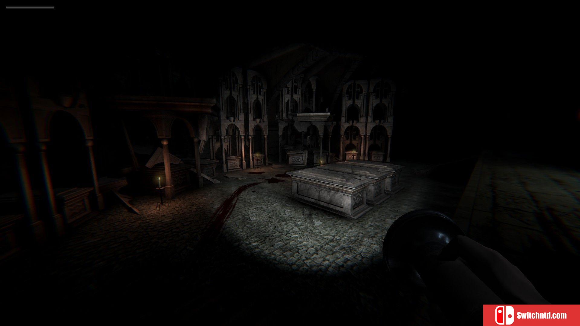 《血腥玛丽：遗忘的诅咒（Bloody Mary: Forgotten Curse）》PLAZA镜像版[EN]_1