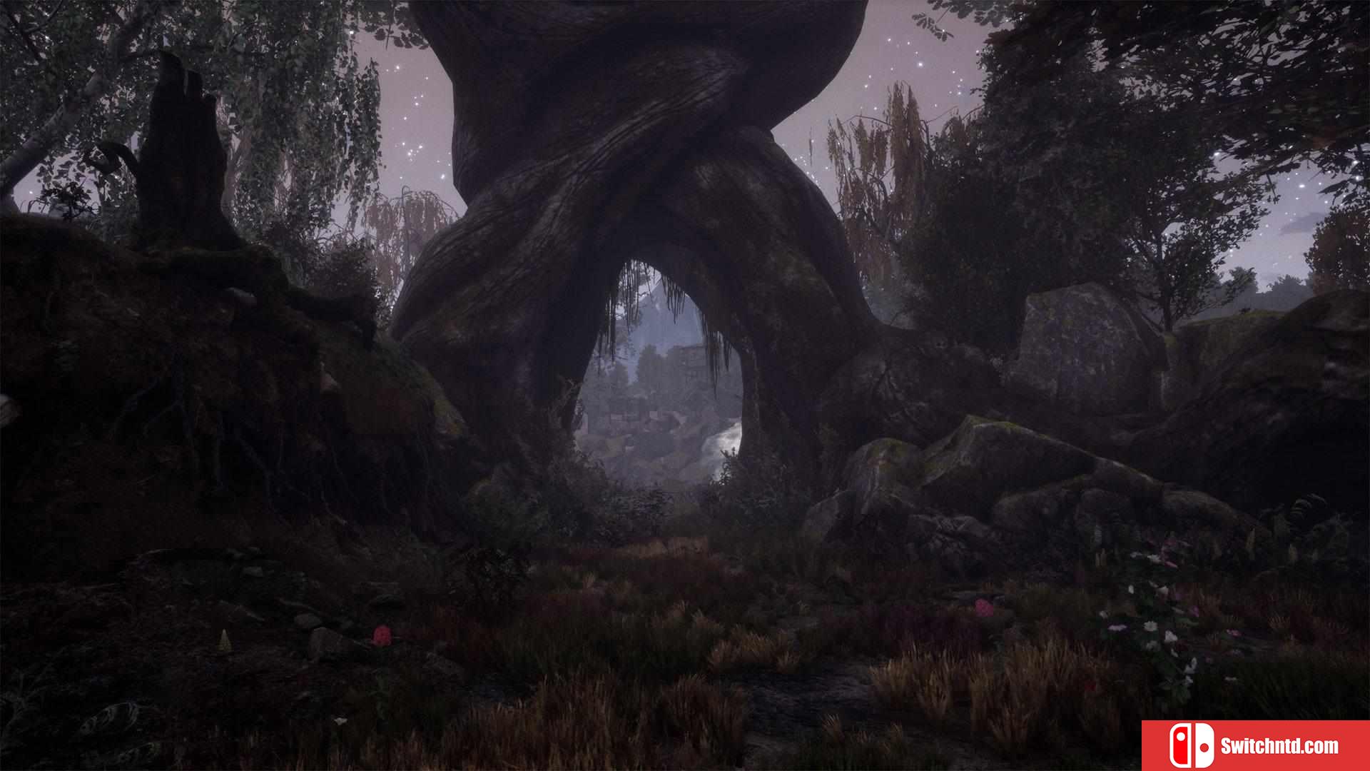 《兰古纳的枯树（The Dead Tree of Ranchiuna）》CODEX镜像版[EN]_2