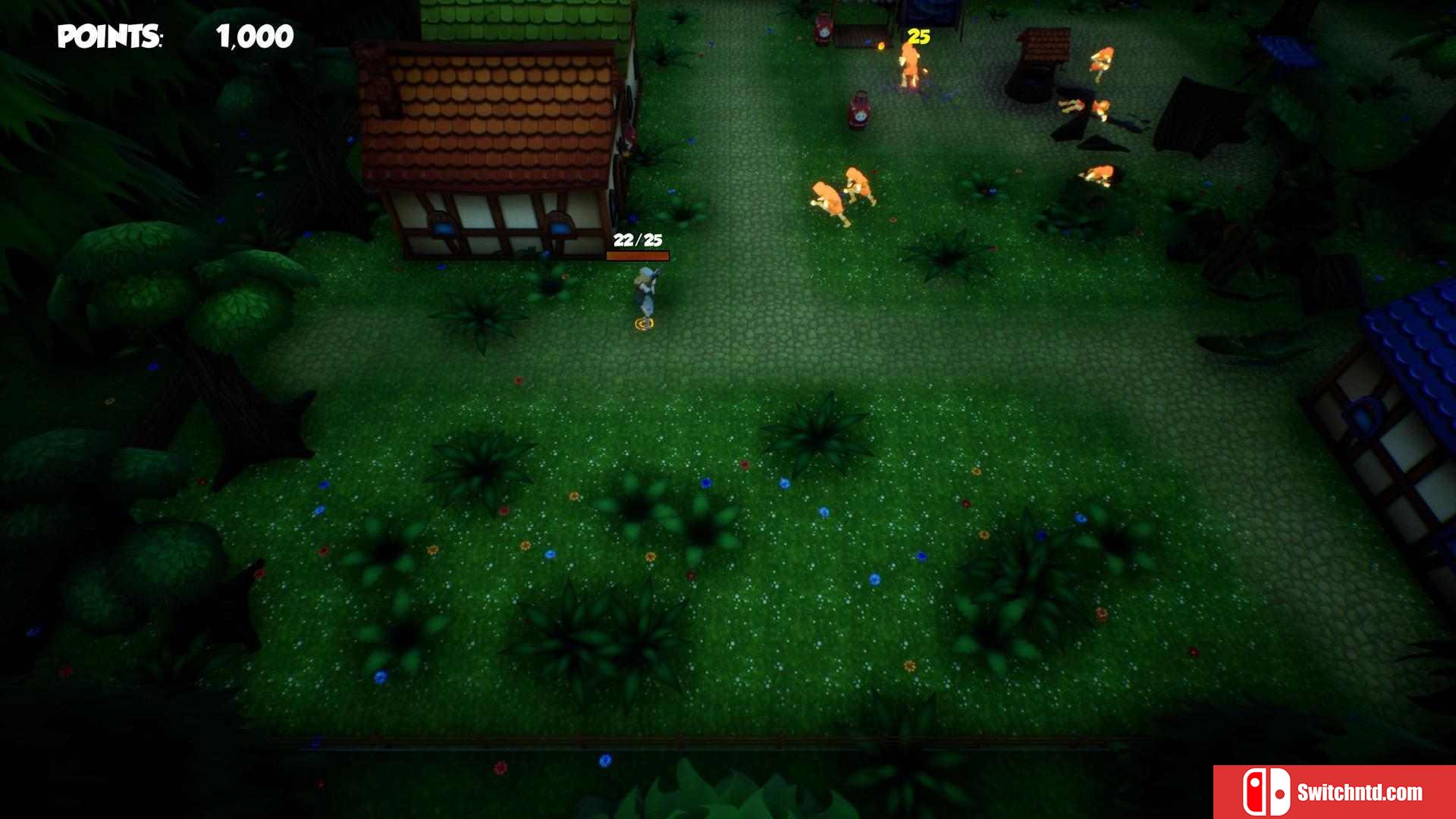 《混乱村庄（Chaos Village）》DARKZER0硬盘版[EN]_2