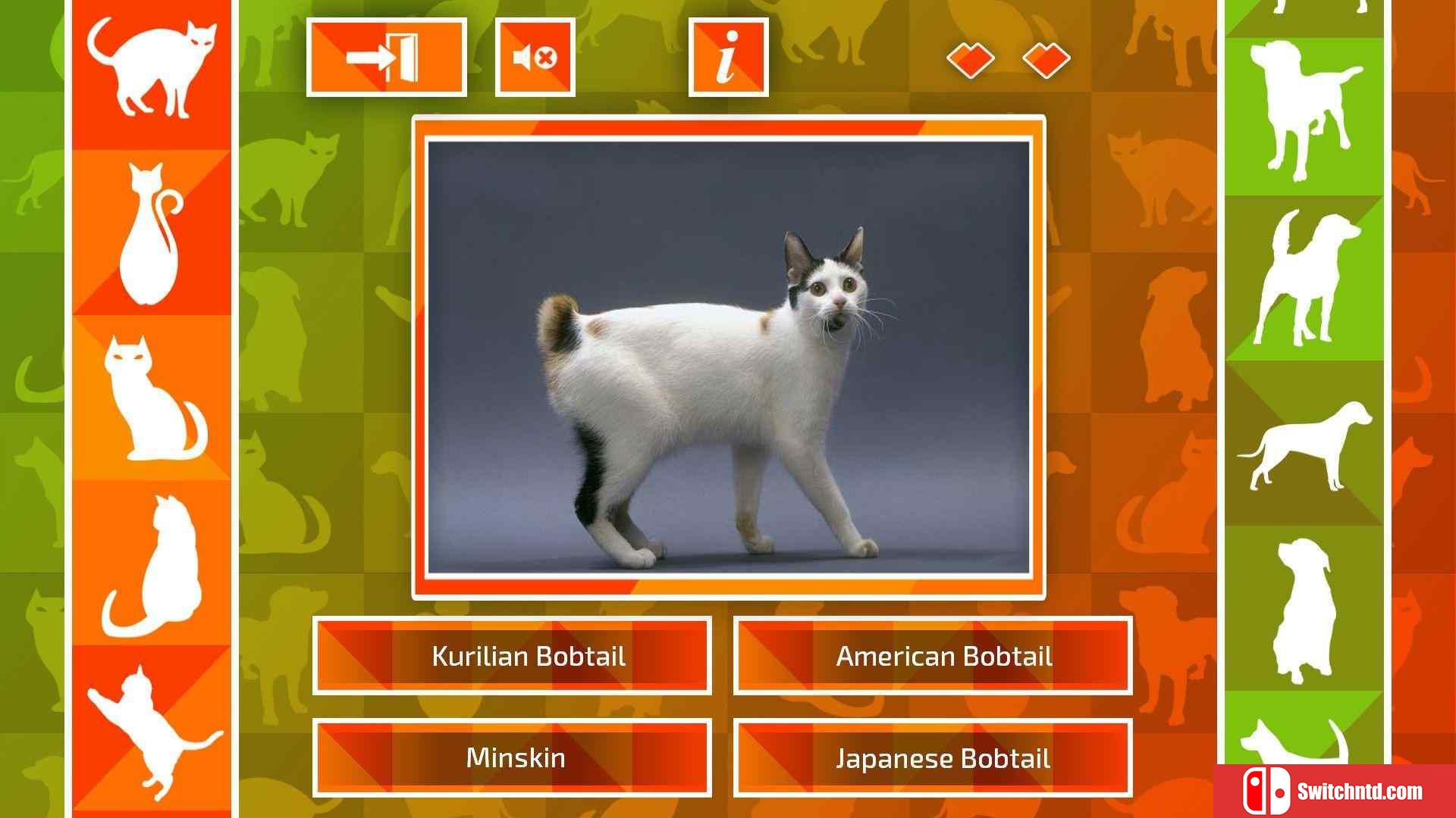 《JQ：狗和猫（JQ: dogs & cats）》两国语言 ALiAS硬盘版[EN]_1