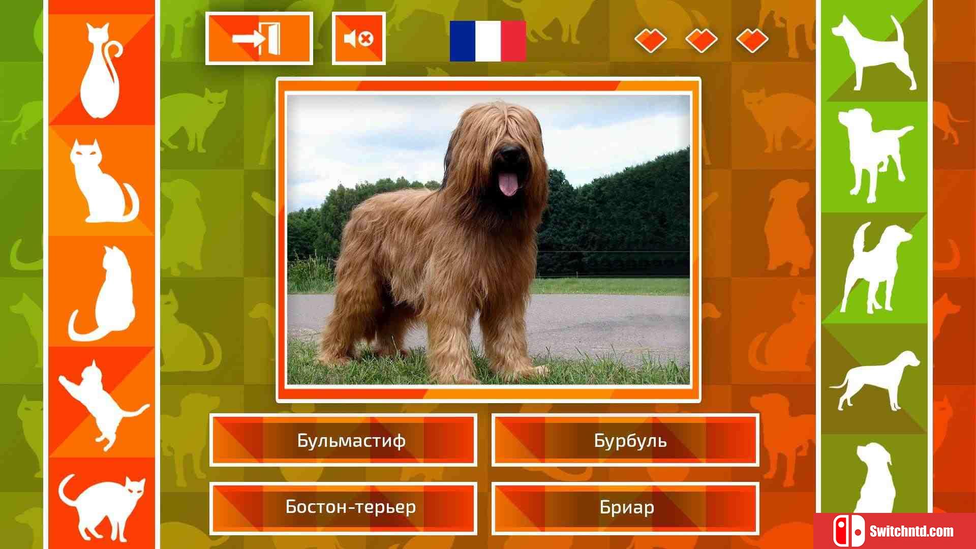 《JQ：狗和猫（JQ: dogs & cats）》两国语言 ALiAS硬盘版[EN]_4