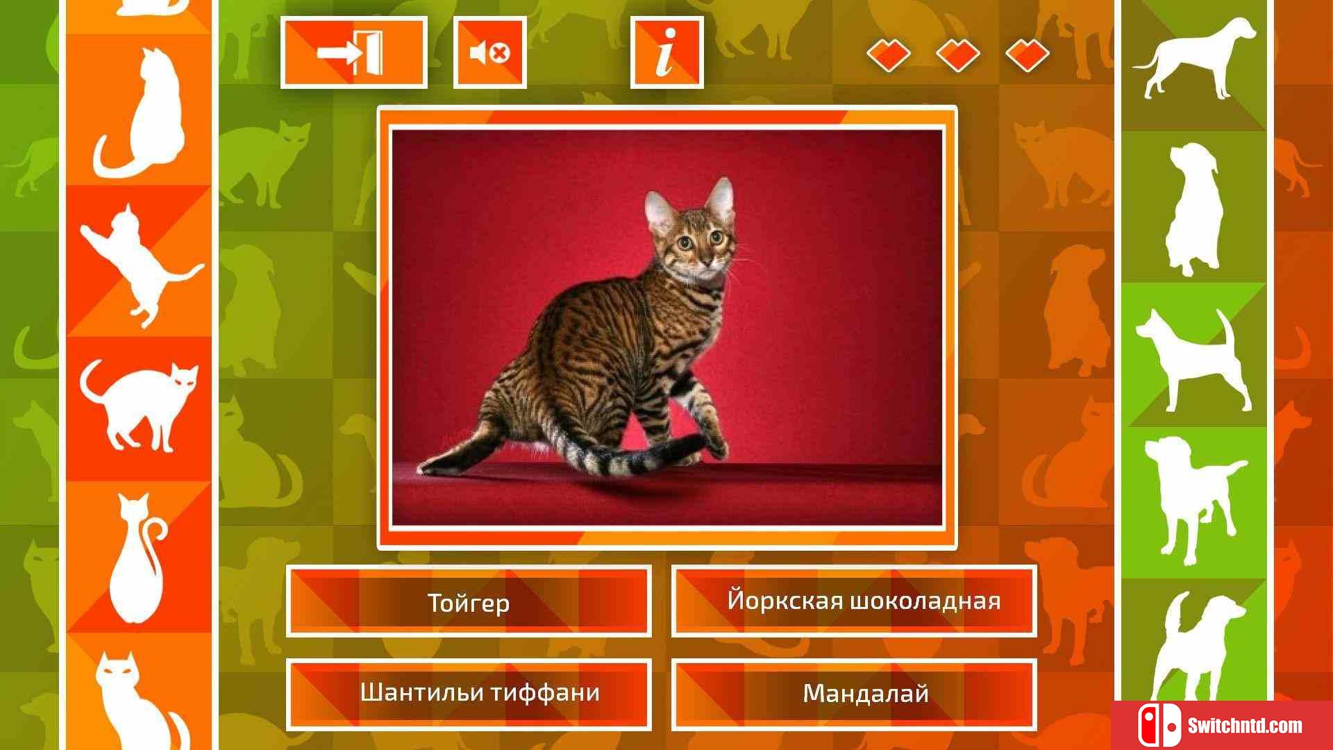 《JQ：狗和猫（JQ: dogs & cats）》两国语言 ALiAS硬盘版[EN]_2