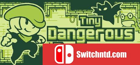 《微型危险地下城（Tiny Dangerous Dungeons）》DARKZER0硬盘版[EN]_0