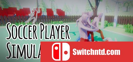 《足球运动员模拟器（Soccer Player Simulator）》DARKZER0硬盘版[EN]_0