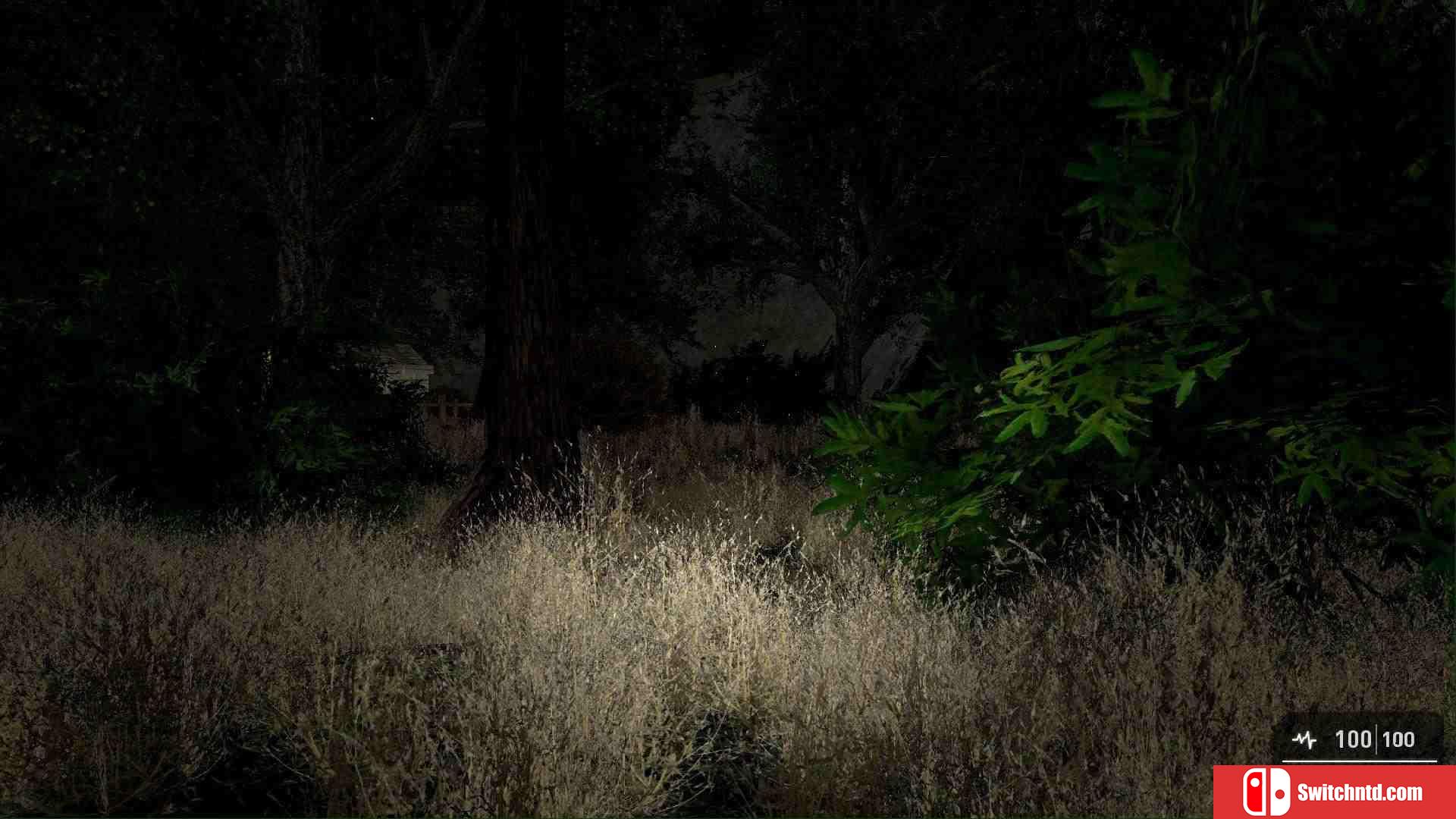 《仪式（THE RITUAL）》TiNYiSO镜像版[EN]_3
