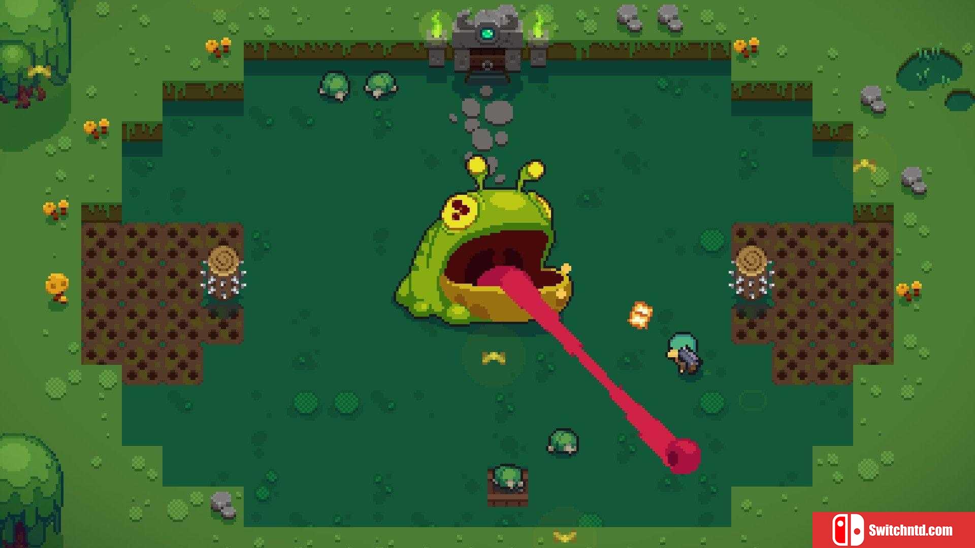 《炽热鸟喙（Blazing Beaks）》v1.1.0.8 SiMPLEX硬盘版[EN]_3