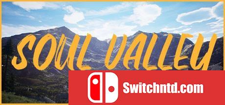 《灵魂山谷（Soul Valley）》HOODLUM镜像版[EN]_0