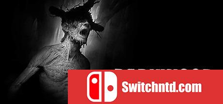 《阴暗森林（Darkwood）》v1.3 PLAZA镜像版[EN]_0