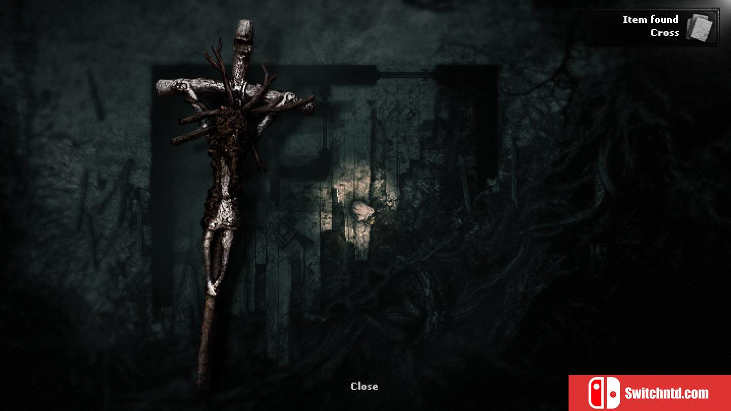 《阴暗森林（Darkwood）》v1.3 PLAZA镜像版[EN]_2