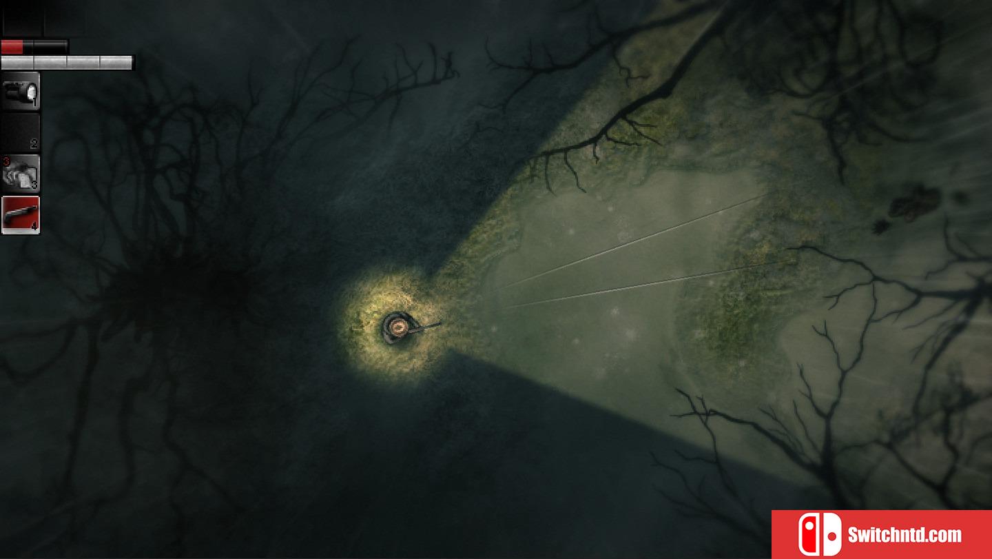 《阴暗森林（Darkwood）》v1.3 PLAZA镜像版[EN]_3