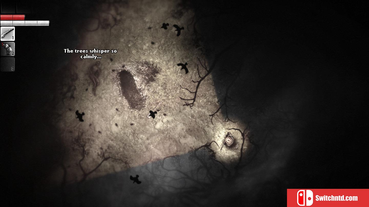 《阴暗森林（Darkwood）》v1.3 PLAZA镜像版[EN]_6