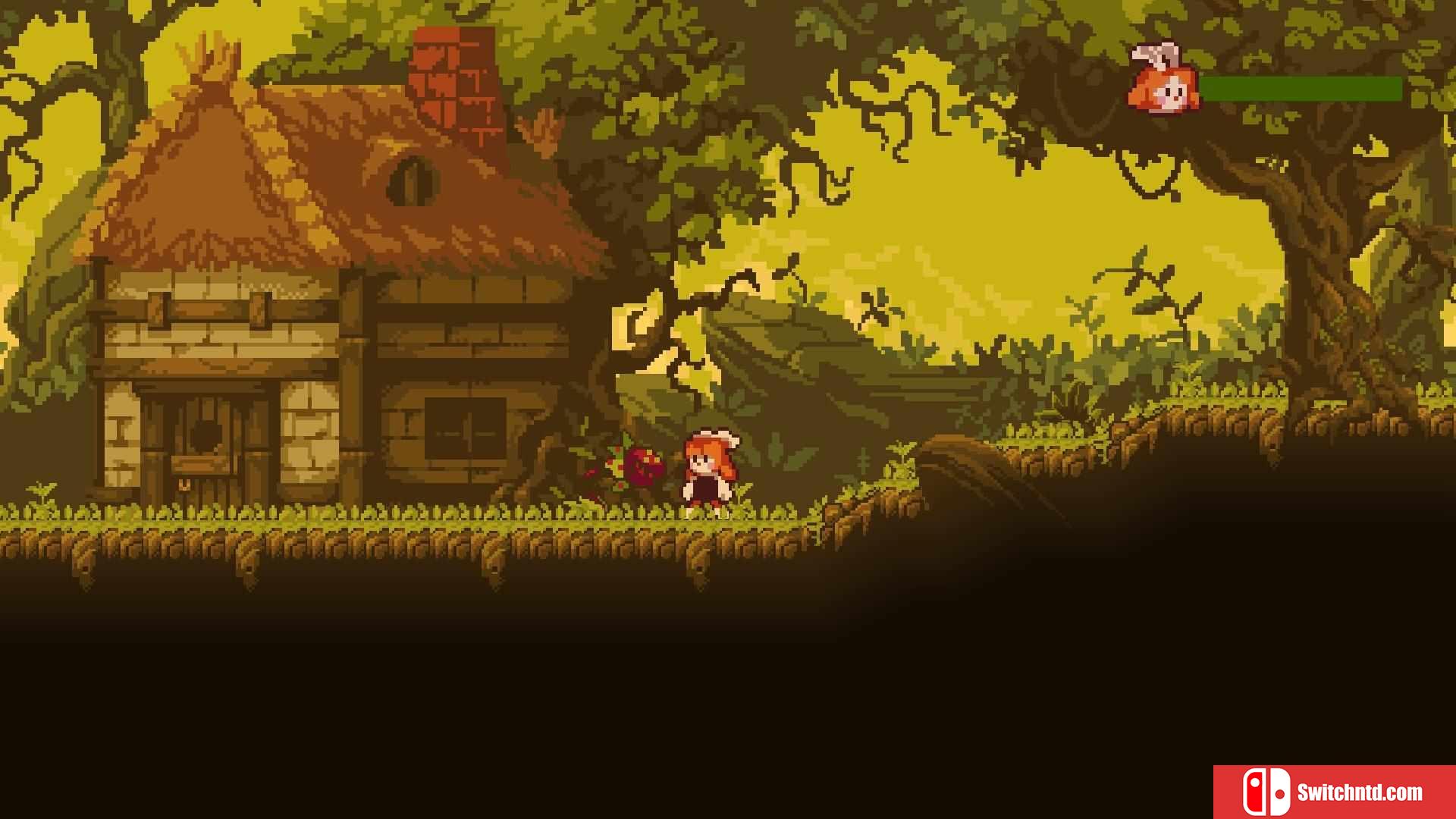 《疯狂植物（FRENZY PLANTS）》DARKZER0硬盘版[EN]_2