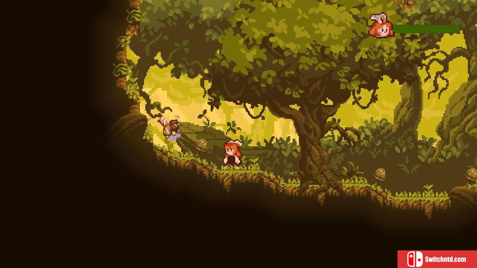 《疯狂植物（FRENZY PLANTS）》DARKZER0硬盘版[EN]_4