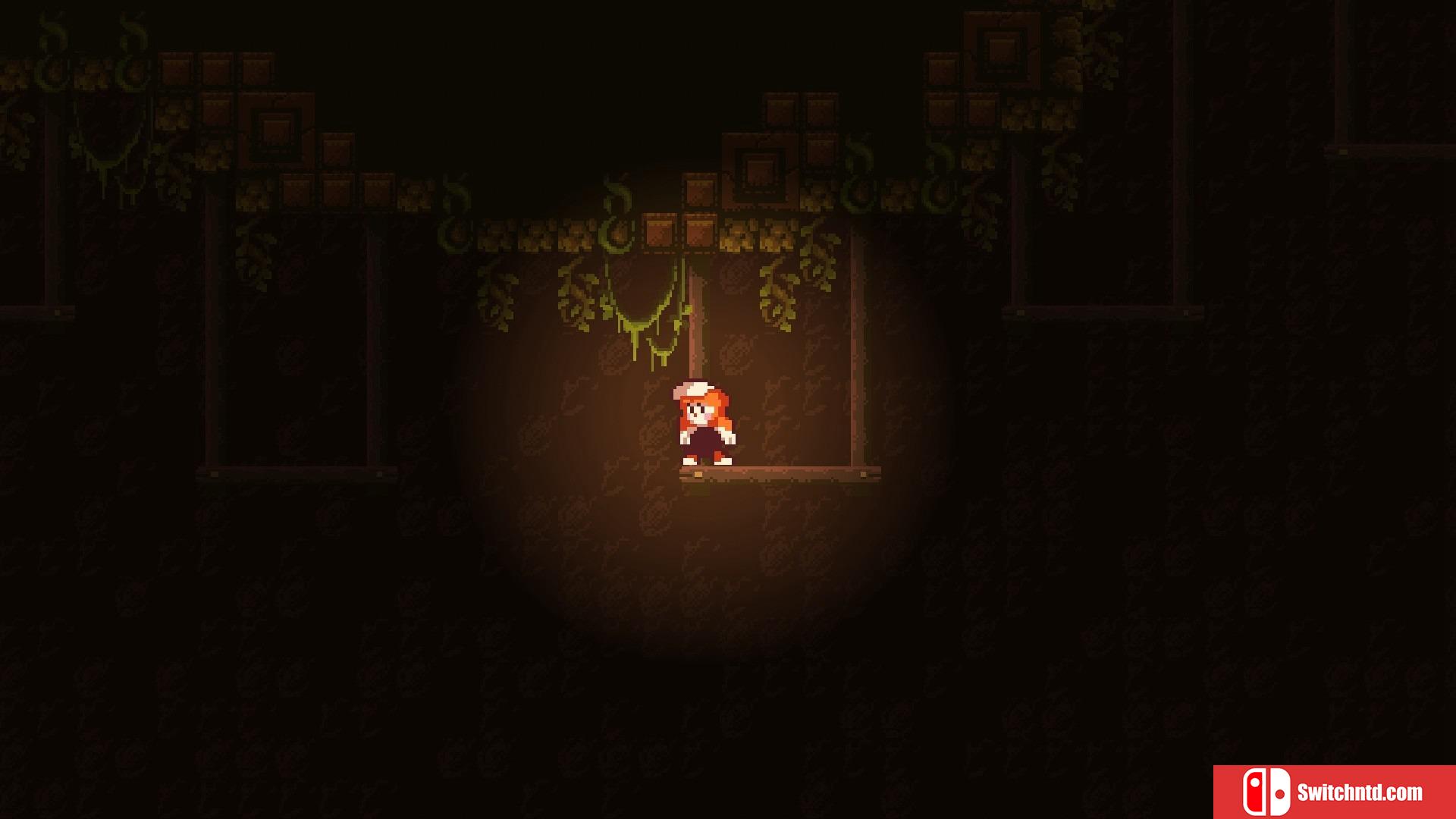 《疯狂植物（FRENZY PLANTS）》DARKZER0硬盘版[EN]_5