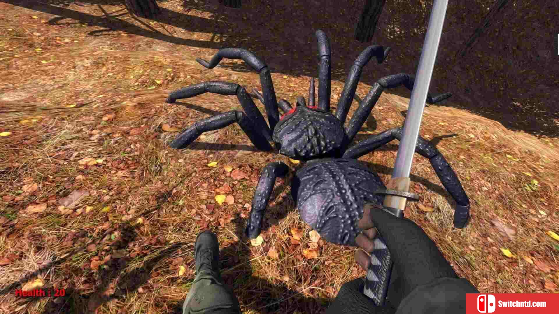 《森林蜘蛛（Forest spiders）》DARKZER0硬盘版[EN]_4