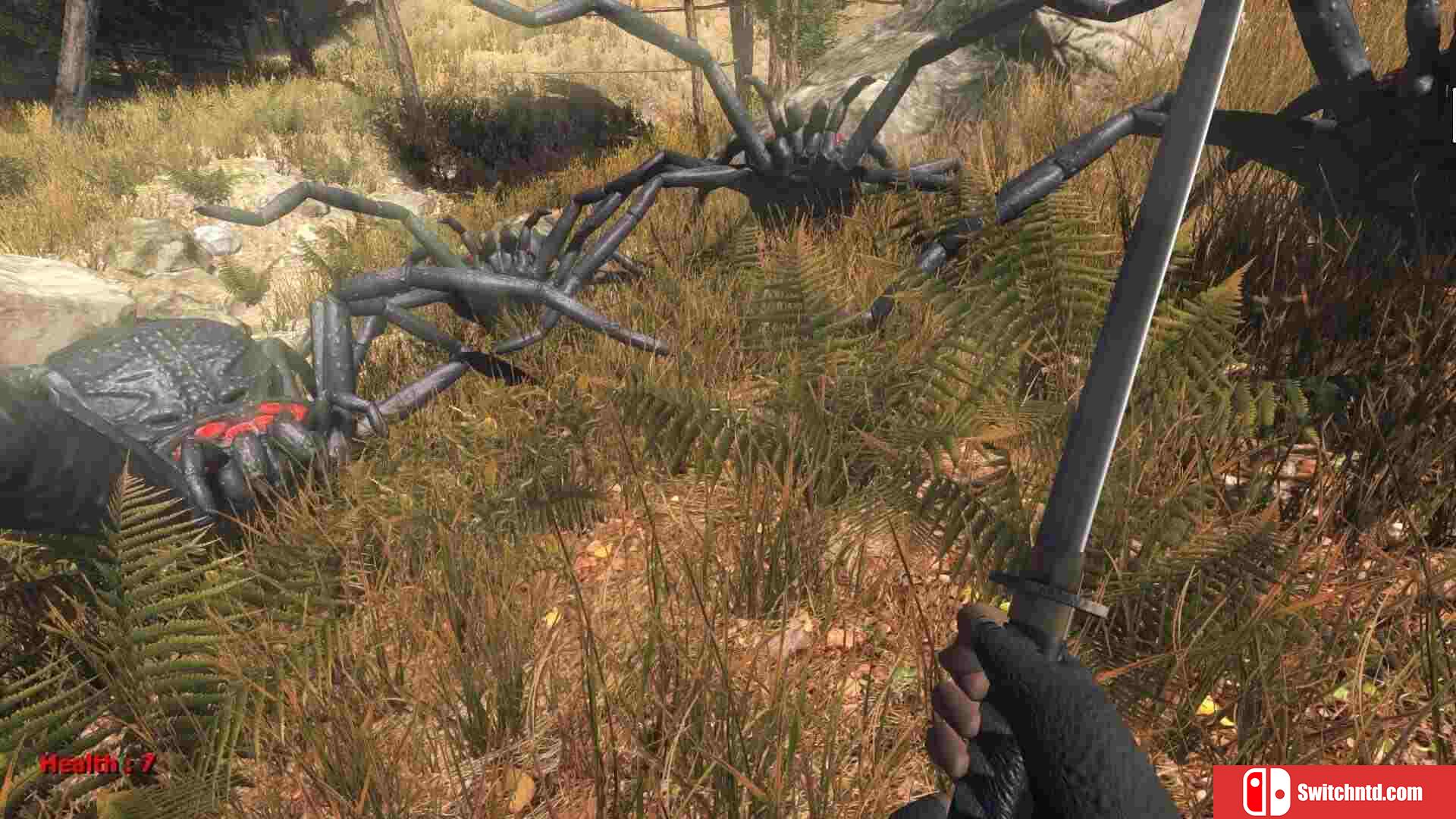《森林蜘蛛（Forest spiders）》DARKZER0硬盘版[EN]_1