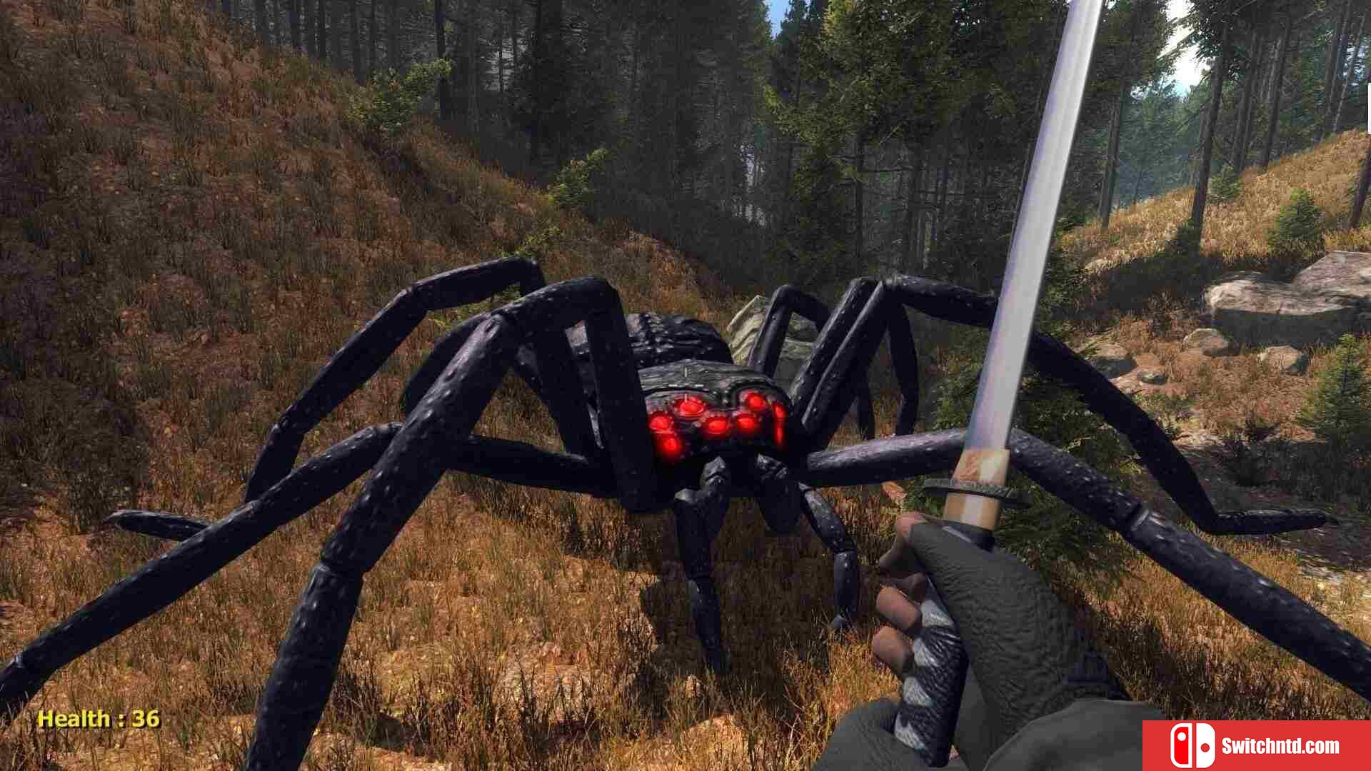 《森林蜘蛛（Forest spiders）》DARKZER0硬盘版[EN]_2