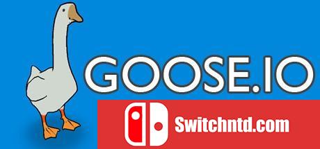 《鹅IO（GOOSE.IO）》DARKZER0硬盘版[EN]_0