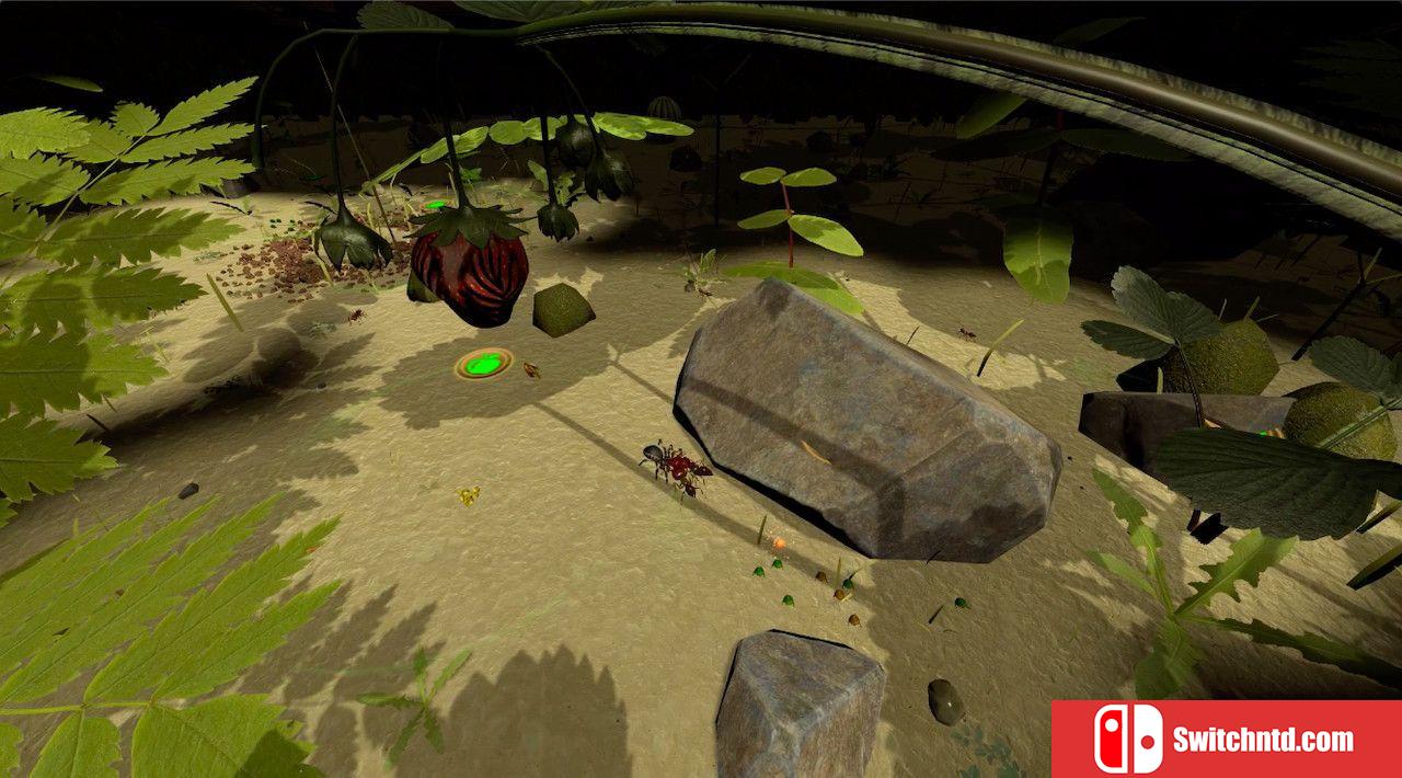 《蚁后3D（AntQueen 3D）》PLAZA镜像版[EN]_5