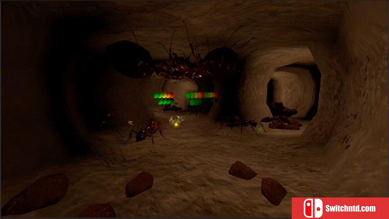 《蚁后3D（AntQueen 3D）》PLAZA镜像版[EN]_4