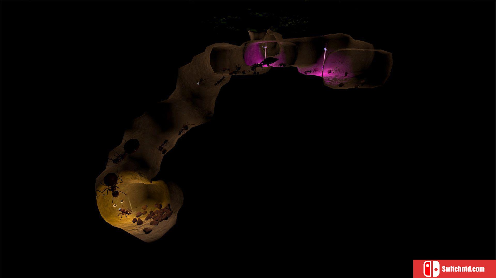《蚁后3D（AntQueen 3D）》PLAZA镜像版[EN]_2