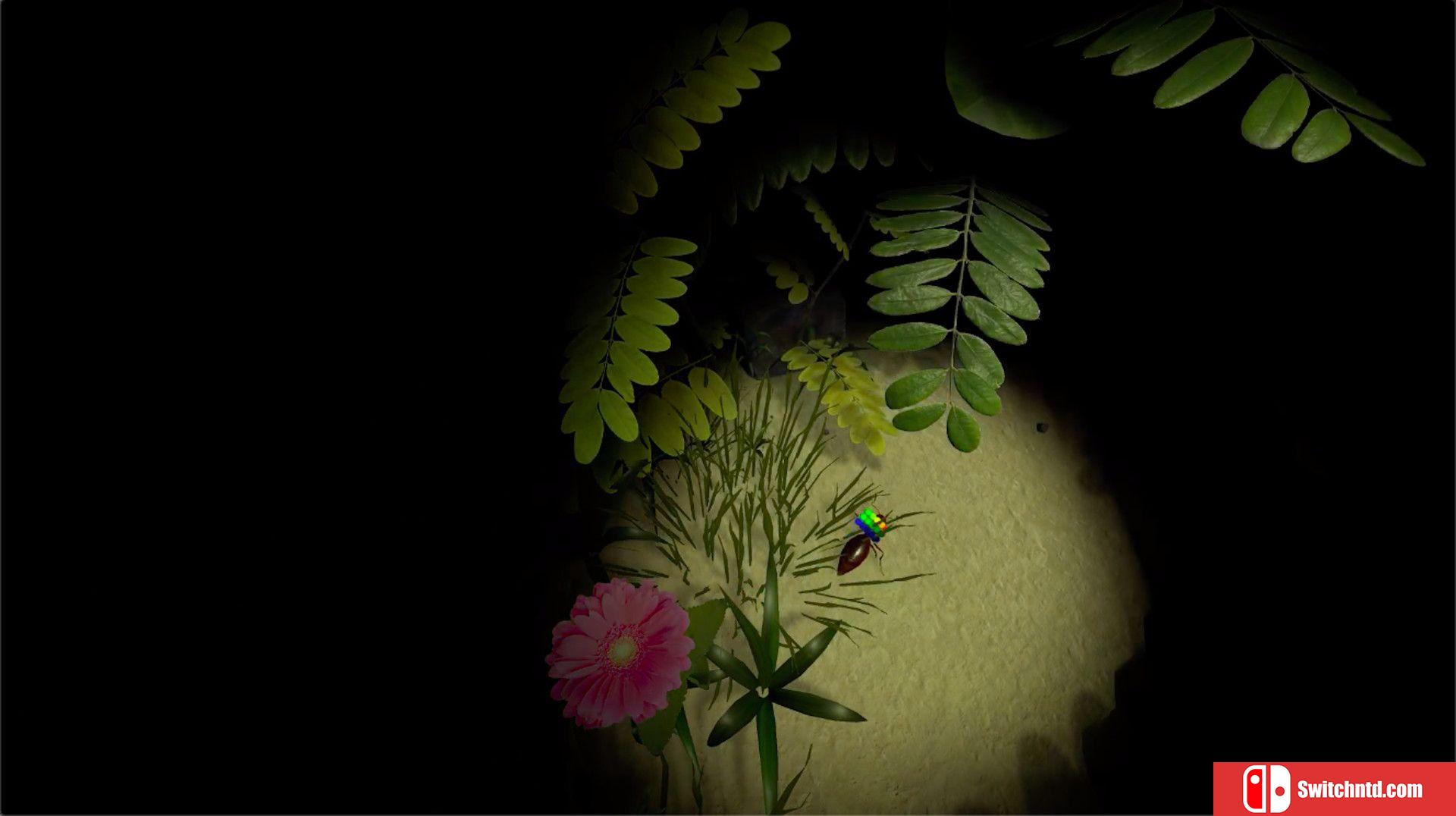 《蚁后3D（AntQueen 3D）》PLAZA镜像版[EN]_1