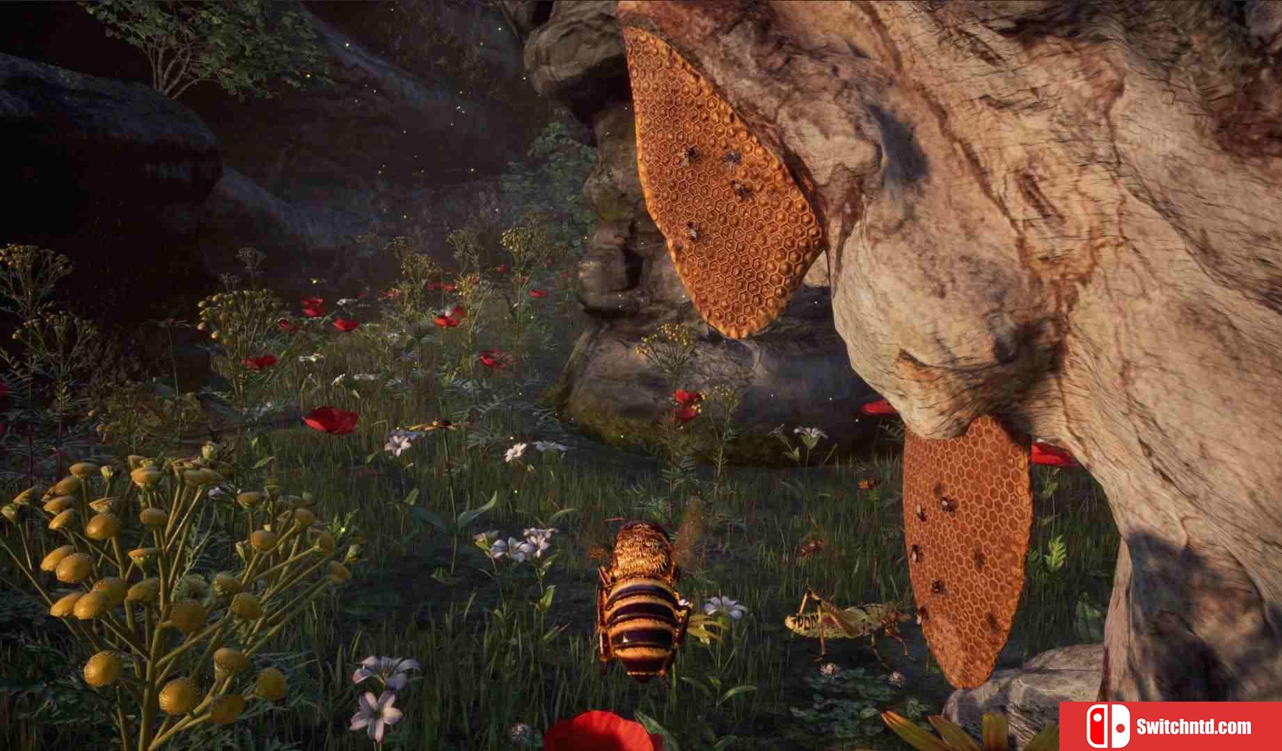 《蜜蜂模拟器（Bee Simulator）》官方中文 v1.1.0 I_KnoW镜像版[CN/TW/EN/JP]_1