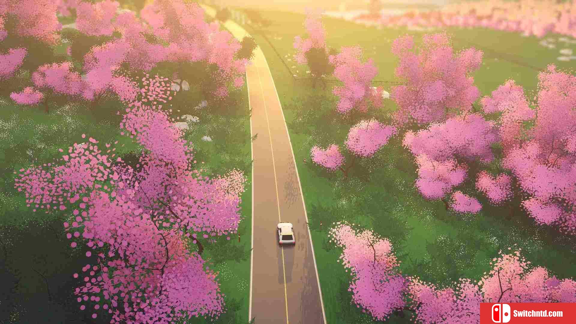 《拉力赛艺术（art of rally）》官方中文 v1.4.2 I_KnoW镜像版[CN/EN/JP]_5