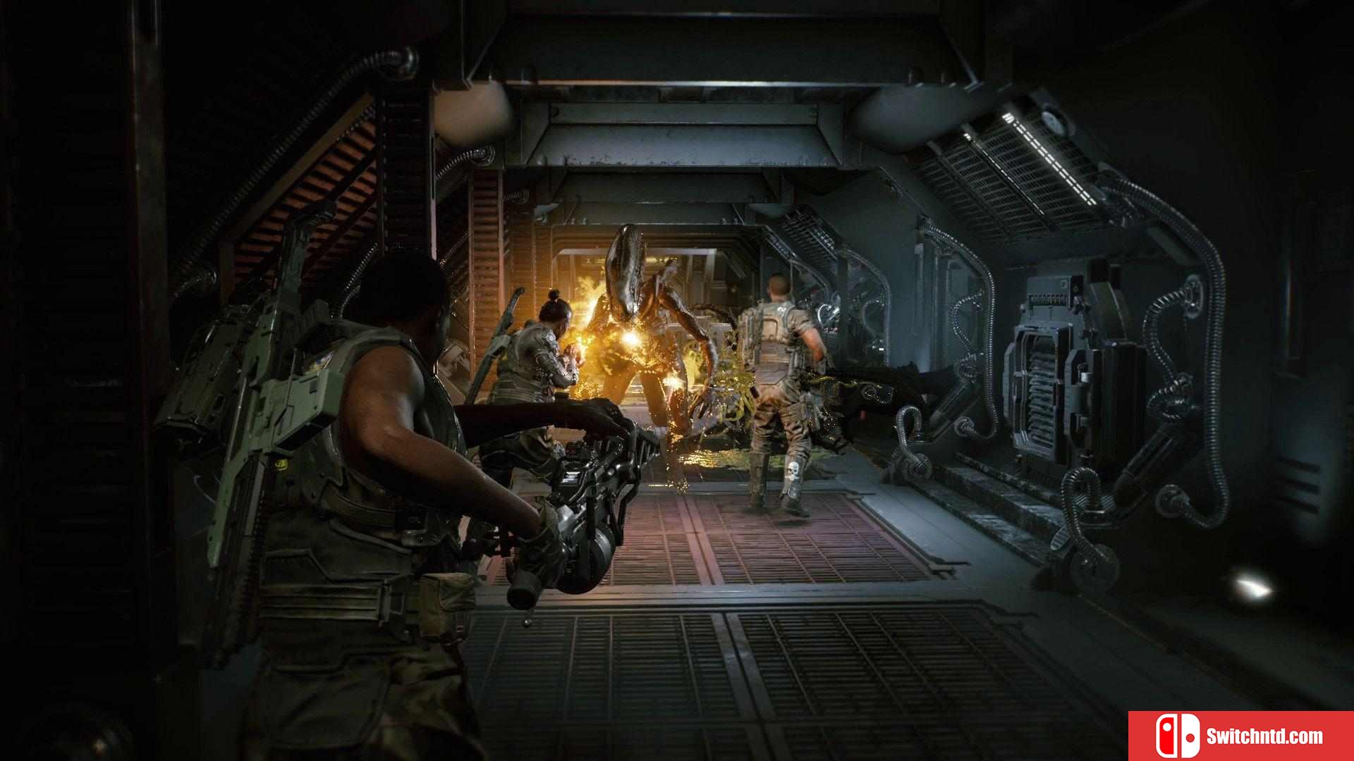 《异形：火力小队（Aliens: Fireteam Elite）》集成Pathogen扩展包DLC FLT镜像版[CN/TW/EN]_2