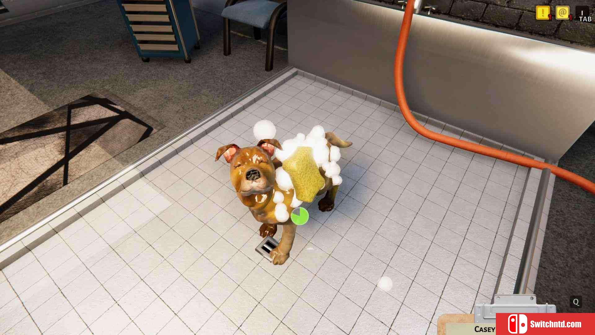 《动物庇护所（Animal Shelter）》官方中文 集成马匹之家DLC TENOKE镜像版[CN/TW/EN/JP]_1