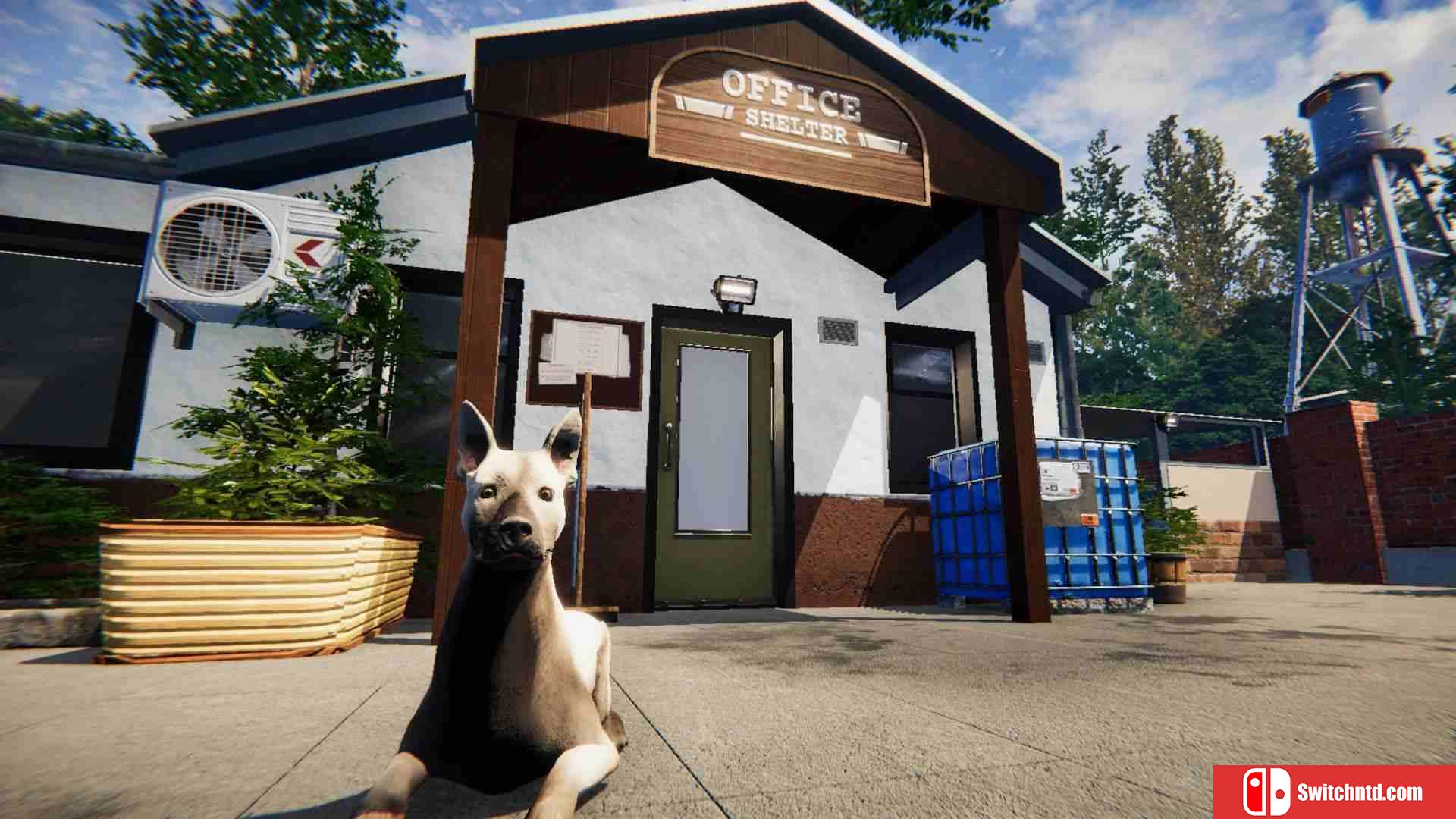 《动物庇护所（Animal Shelter）》官方中文 集成马匹之家DLC TENOKE镜像版[CN/TW/EN/JP]_5