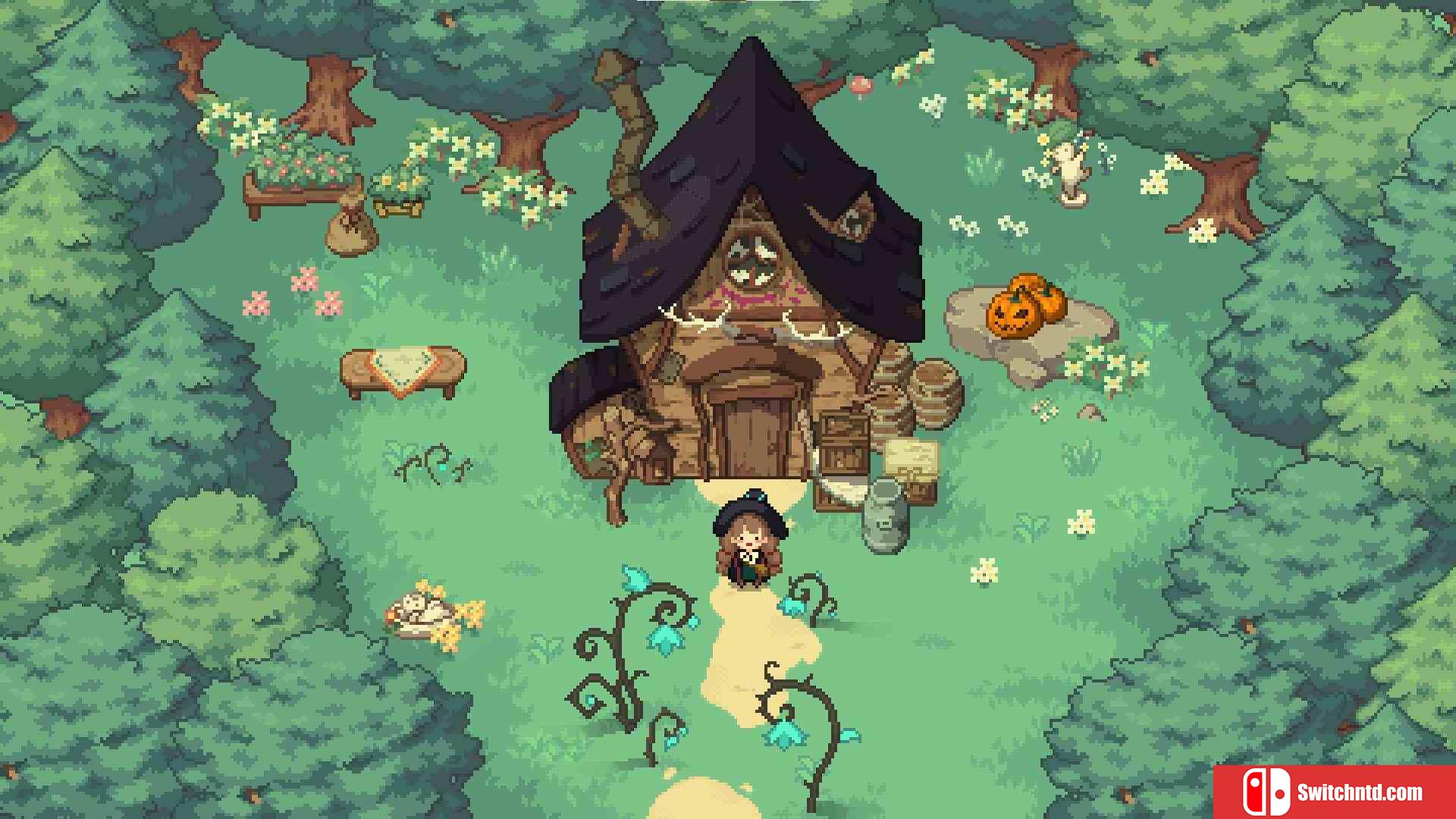 《林中小女巫（Little Witch in the Woods）》官方中文 Early Access P2P硬盘版[CN/EN]_1