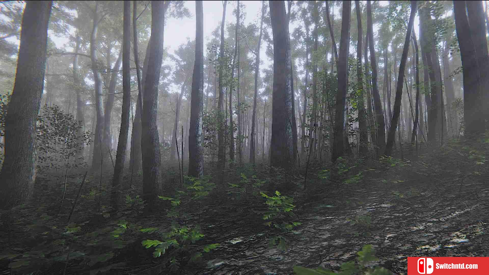 《正念模拟器：ASMR冥想游戏（Mindfulness Sim ASMR Meditation）》TiNYiSO镜像版[CN/EN]_2