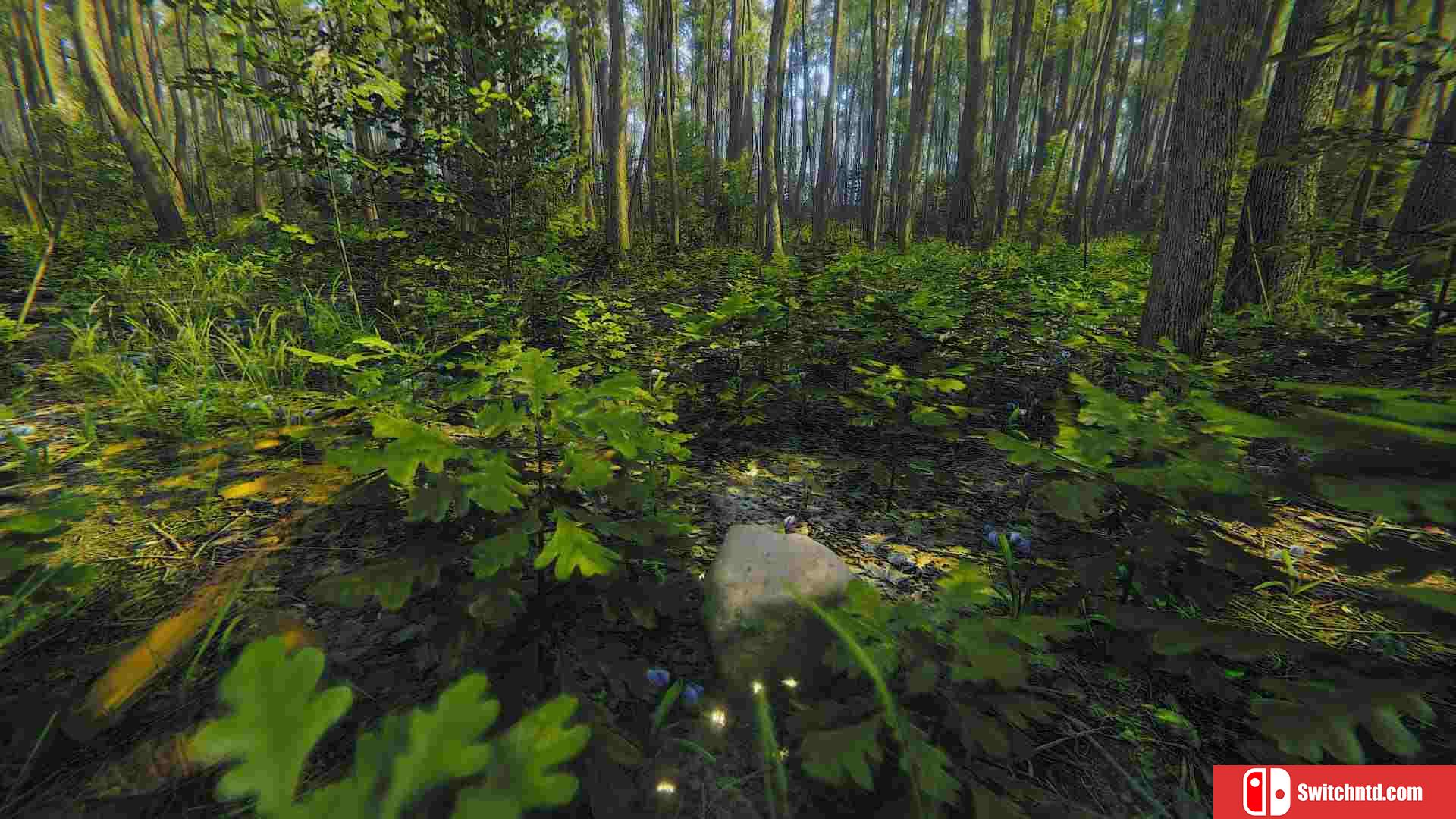 《正念模拟器：ASMR冥想游戏（Mindfulness Sim ASMR Meditation）》TiNYiSO镜像版[CN/EN]_5