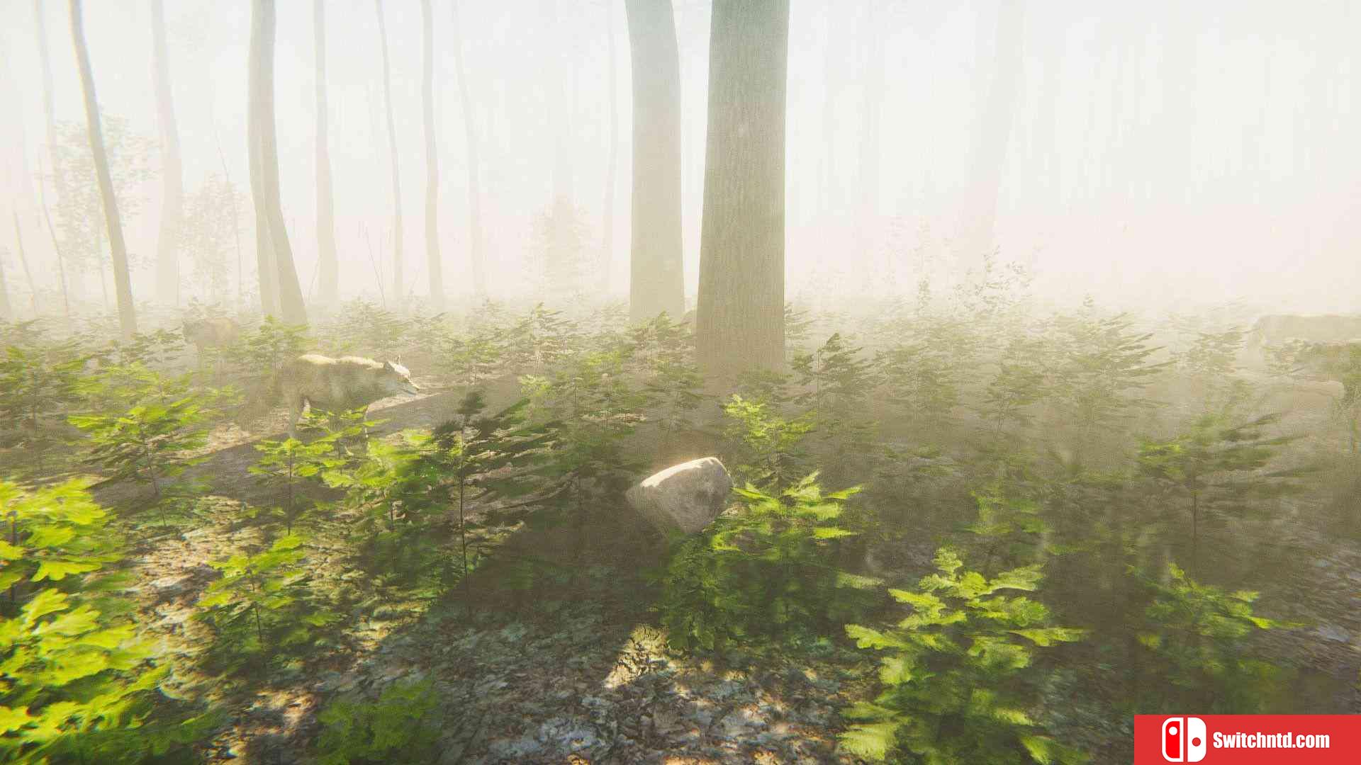《正念模拟器：ASMR冥想游戏（Mindfulness Sim ASMR Meditation）》TiNYiSO镜像版[CN/EN]_4