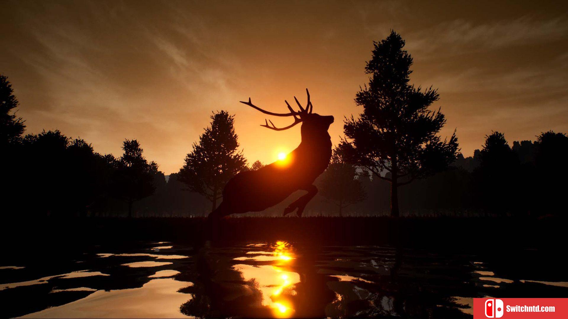 《鹿之旅（Deer Journey）》官方中文  TiNYiSO镜像版[CN/TW/EN/JP]_1