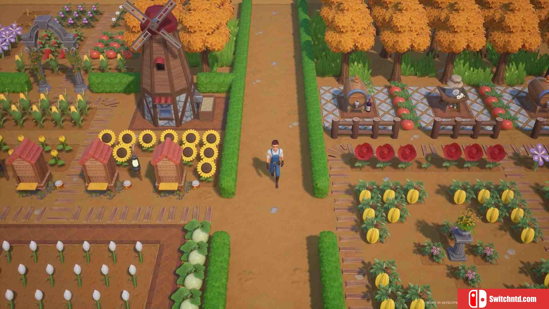 《珊瑚岛（Coral Island）》官方中文 Early Access P2P硬盘版[CN/EN/JP]_1