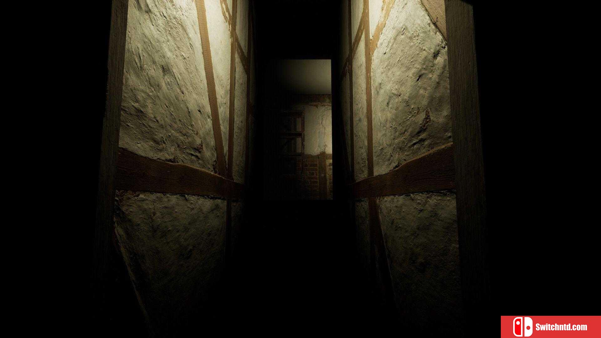 《打开的门（OPEN DOOR）》官方中文 TENOKE镜像版[TW/EN/JP]_1