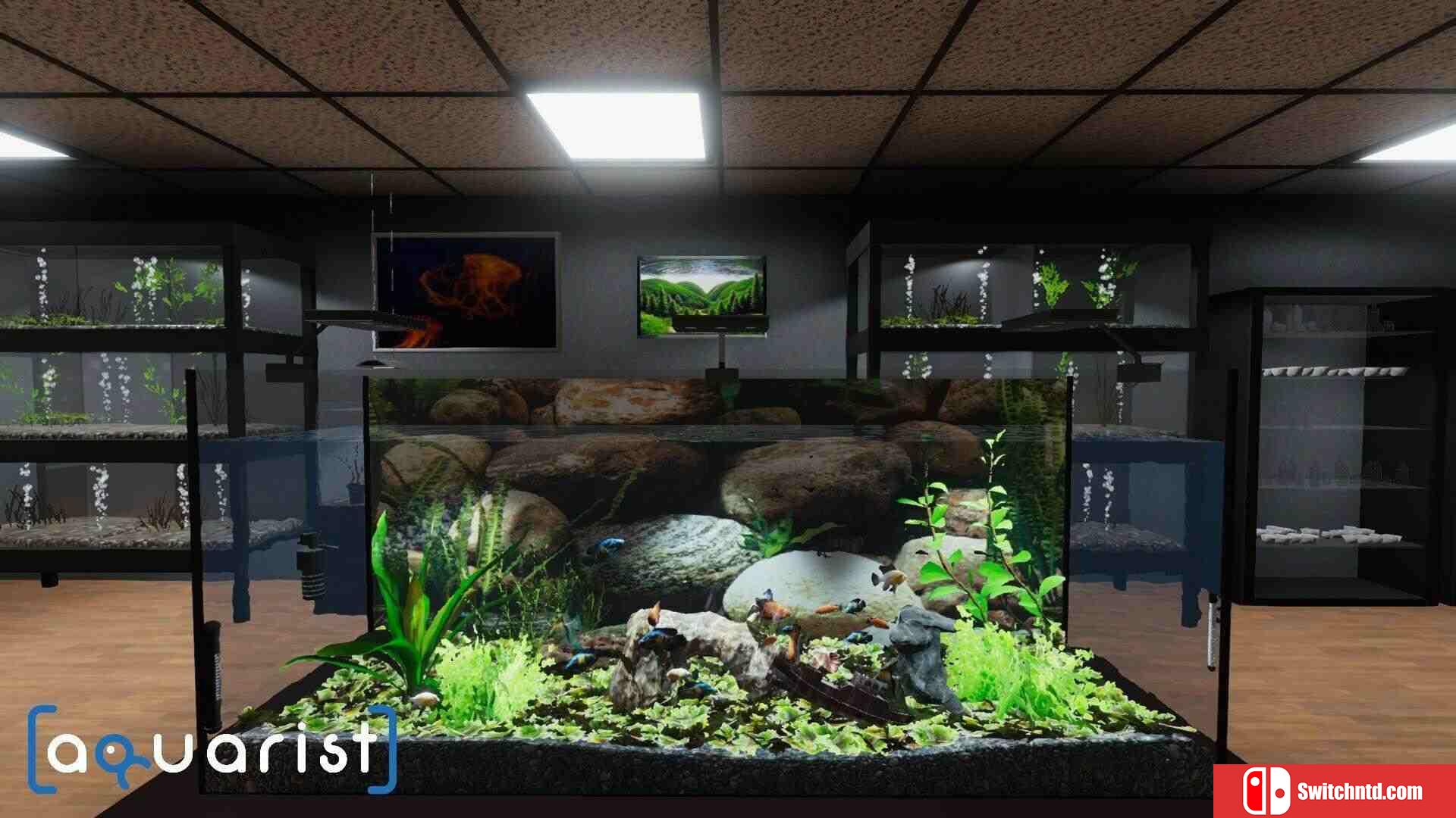 《水族馆（Aquarist）》官方中文 集成实验室DLC TENOKE镜像版[CN/TW/EN/JP]_1