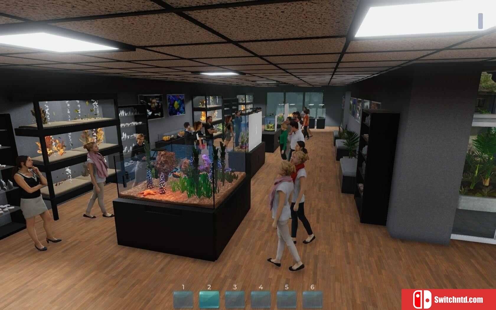 《水族馆（Aquarist）》官方中文 集成实验室DLC TENOKE镜像版[CN/TW/EN/JP]_3