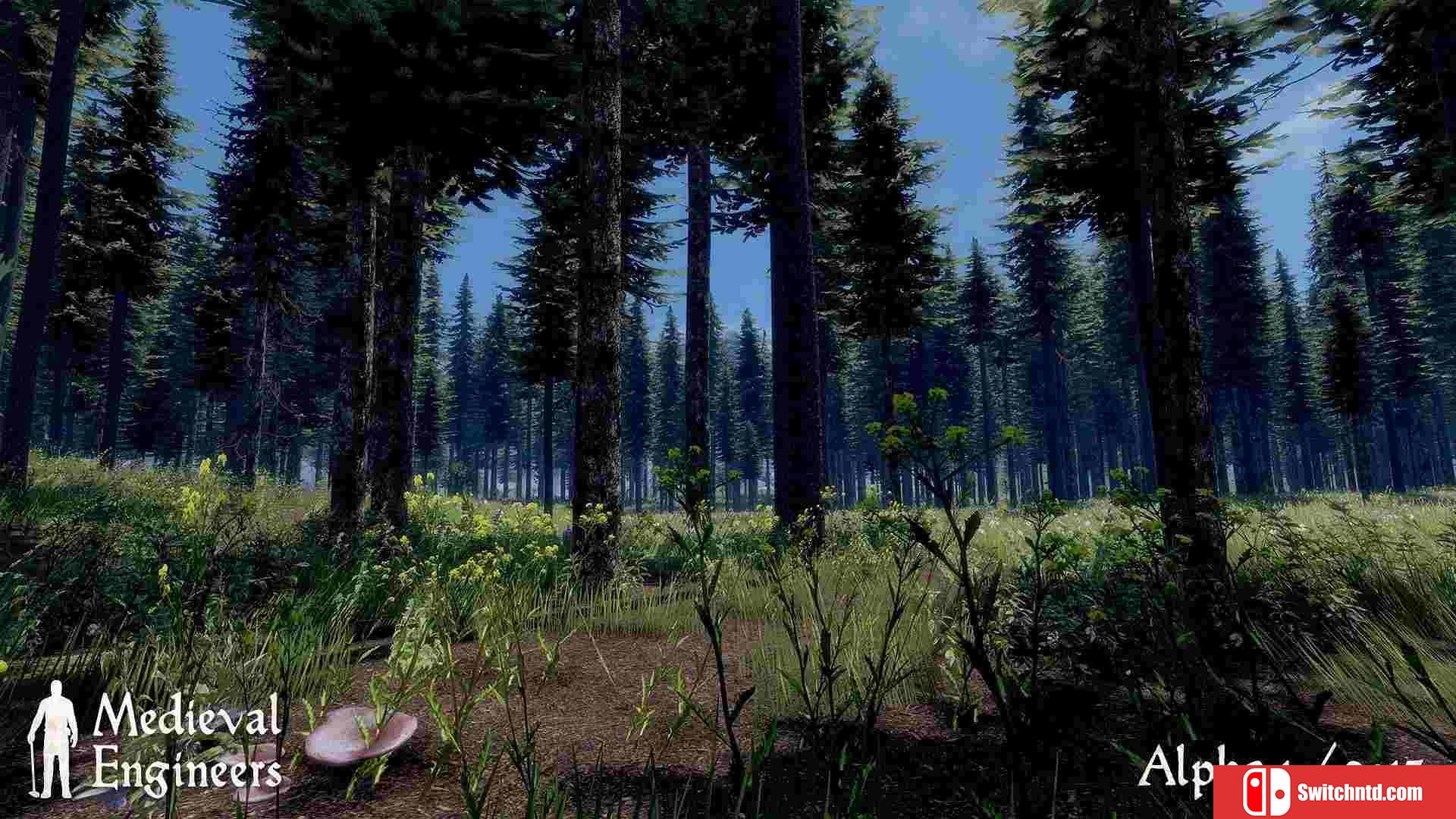 《中世纪工程师 （Medieval Engineers）》豪华版 v0.6.4.6B8OOB 免安装未加密版[EN]_6
