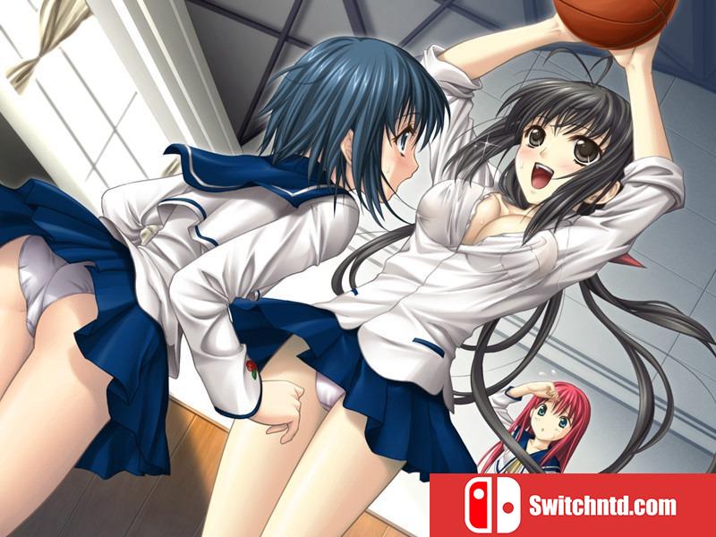 《圣神转生：永远神剑物语2（Seinarukana: TSoES 2）》DARKSiDERS镜像版[EN][更新高清封面+用户手册]_1