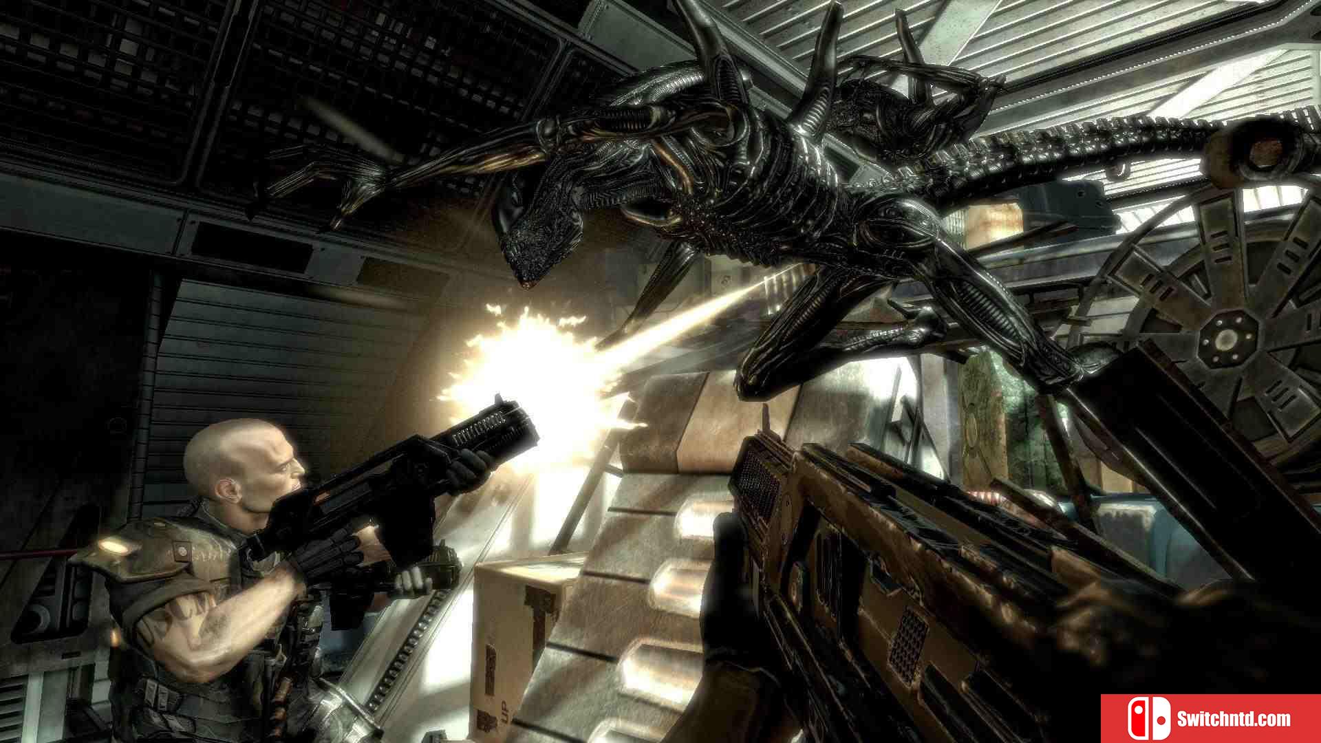 《异形大战铁血战士（Aliens vs. Predator）》八国语言 PROPHET镜像版[EN]_2