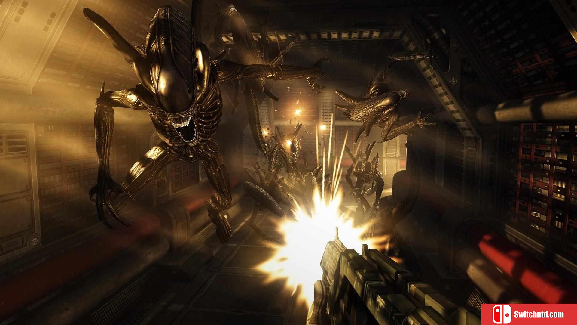 《异形大战铁血战士（Aliens vs. Predator）》八国语言 PROPHET镜像版[EN]_4