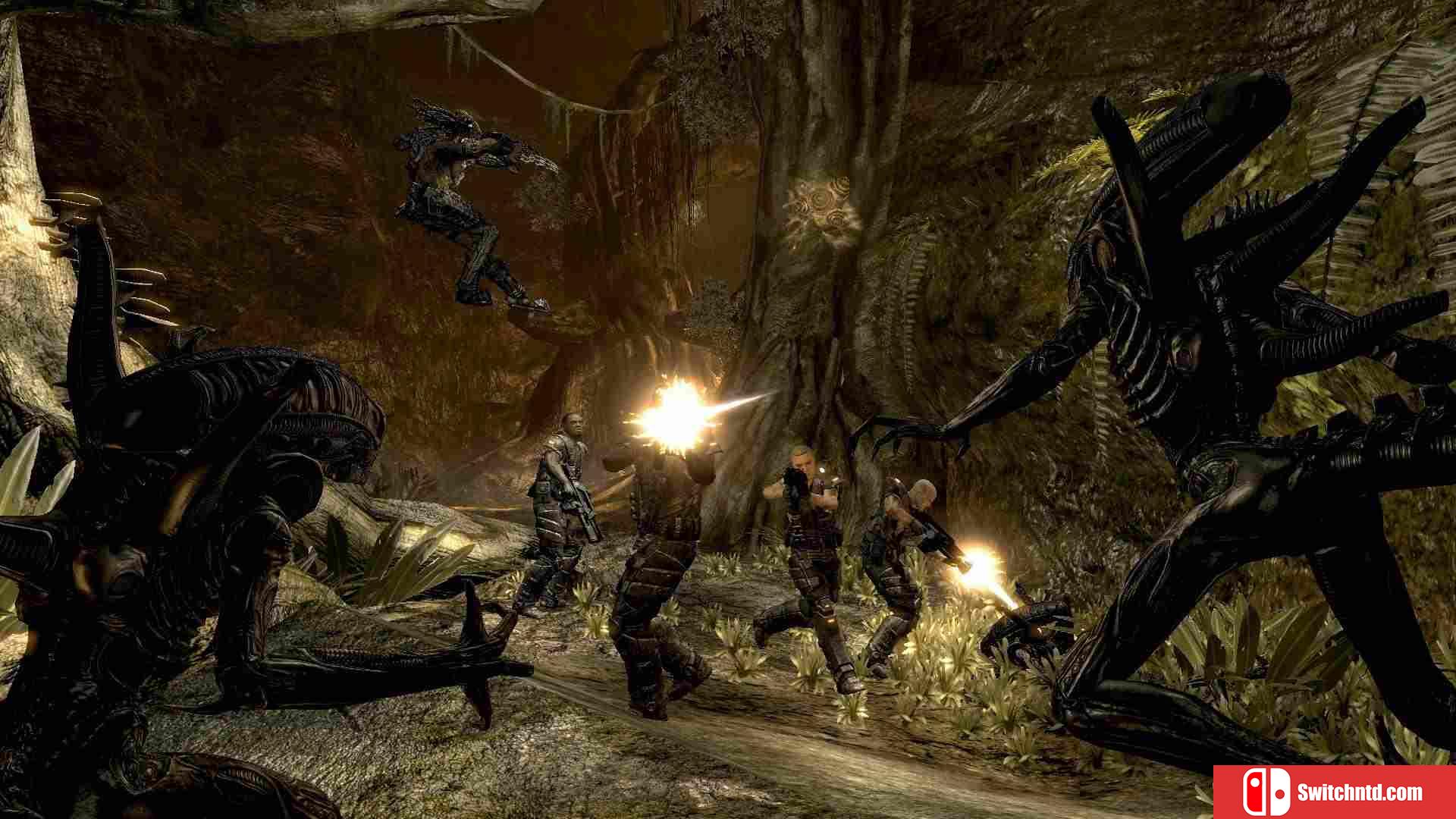 《异形大战铁血战士（Aliens vs. Predator）》八国语言 PROPHET镜像版[EN]_5