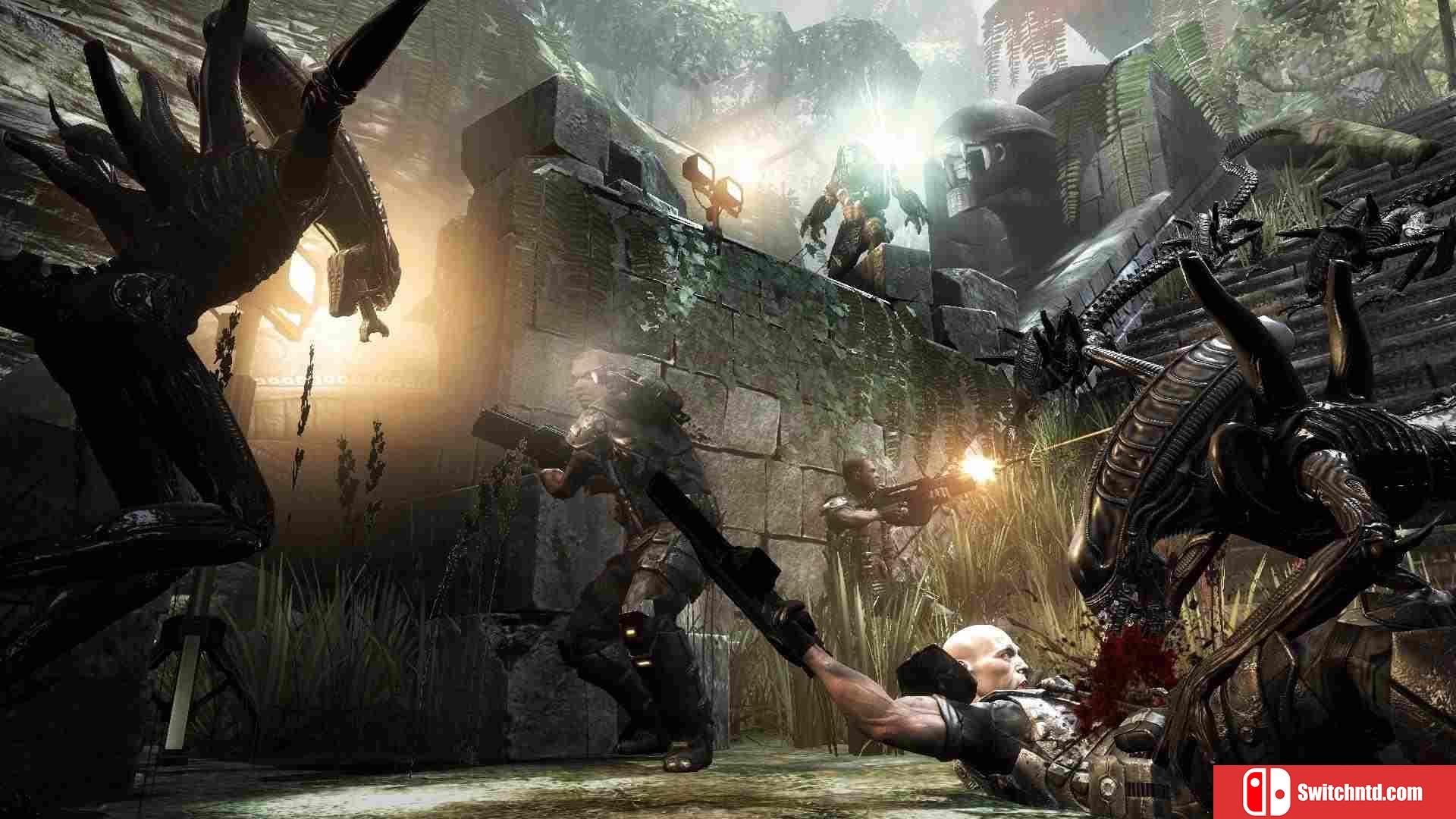 《异形大战铁血战士（Aliens vs. Predator）》八国语言 PROPHET镜像版[EN]_7