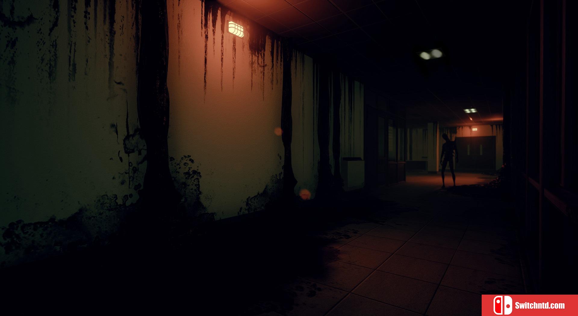 《Husk（Husk）》CODEX镜像版[EN]_1