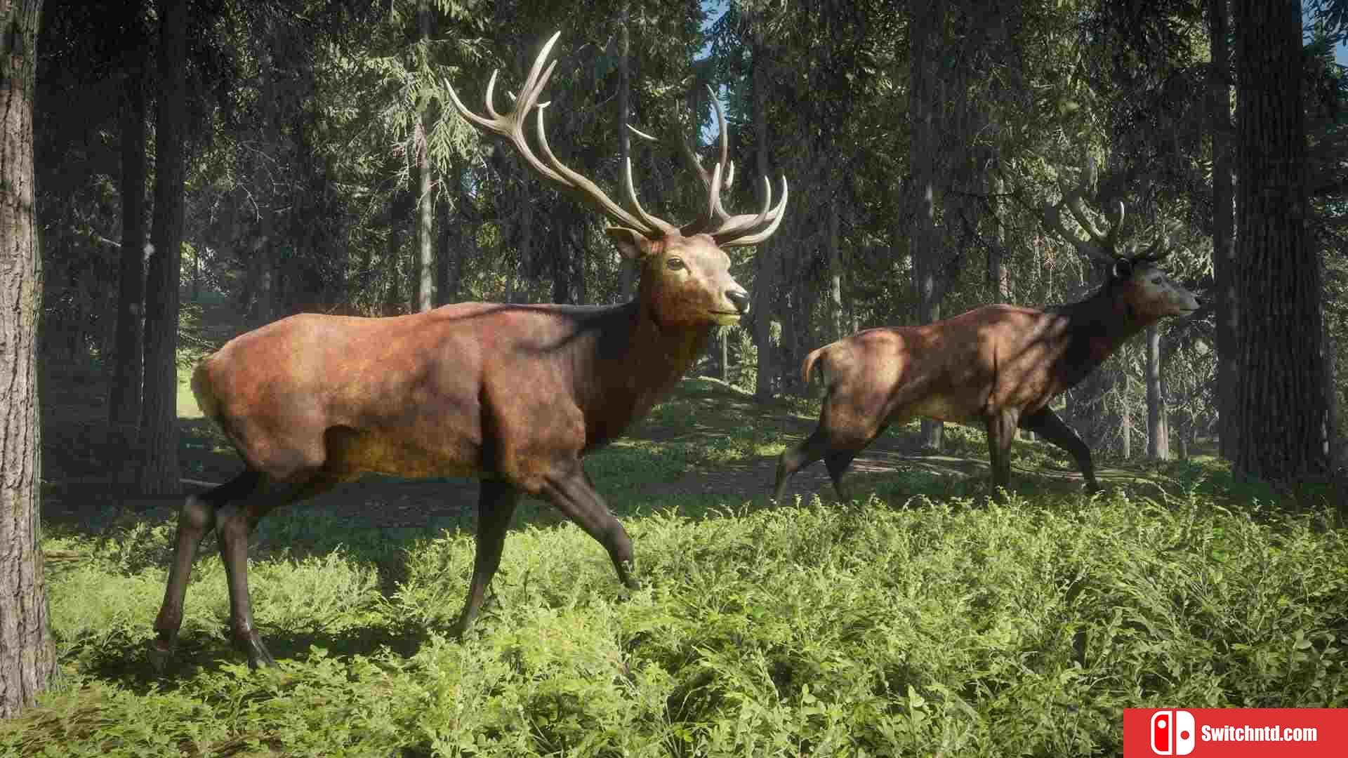 《猎人：荒野的呼唤（theHunter: Call of the Wild）》CODEX镜像版[EN]_2