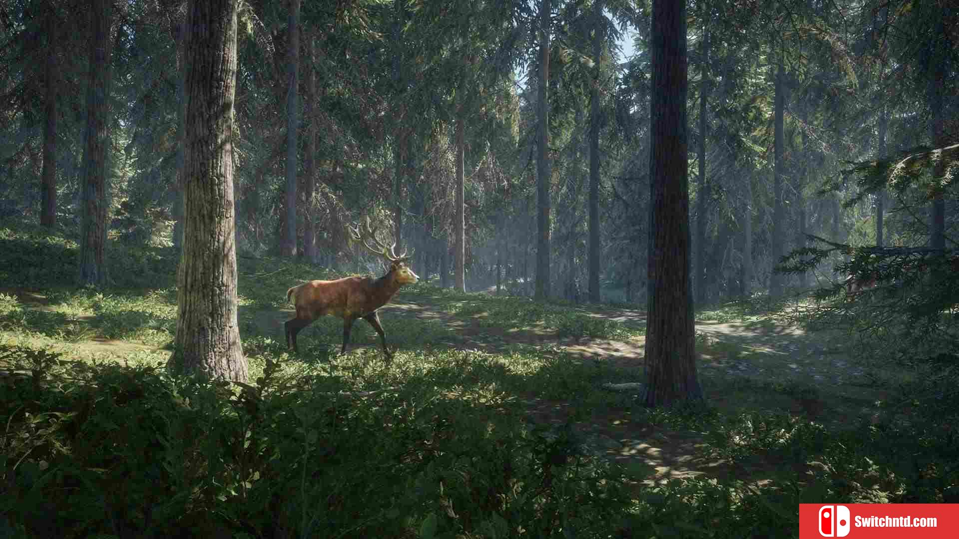 《猎人：荒野的呼唤（theHunter: Call of the Wild）》CODEX镜像版[EN]_1